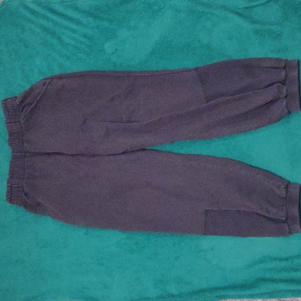 Free people pants
